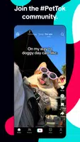 TikTok: Videos, Lives & Musik 스크린샷 3