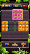 Block Puzzle Jewel Classic Zrzut ekranu 3