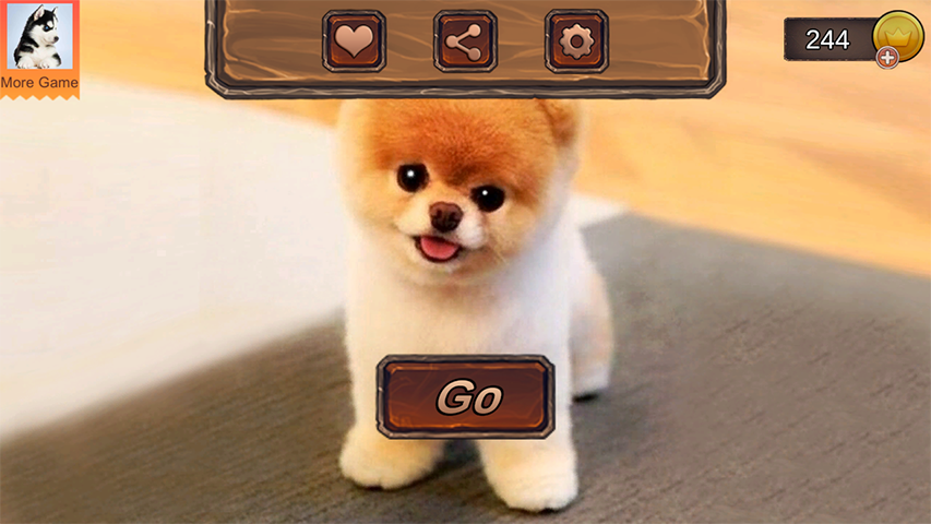 Pomeranian Dog Simulator ภาพหน้าจอ 0