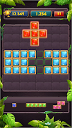 Block Puzzle Jewel Classic Zrzut ekranu 1