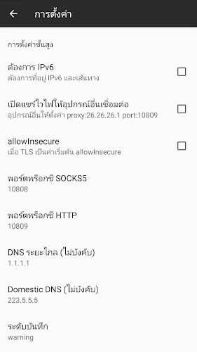 Schermata IDC VPN 2