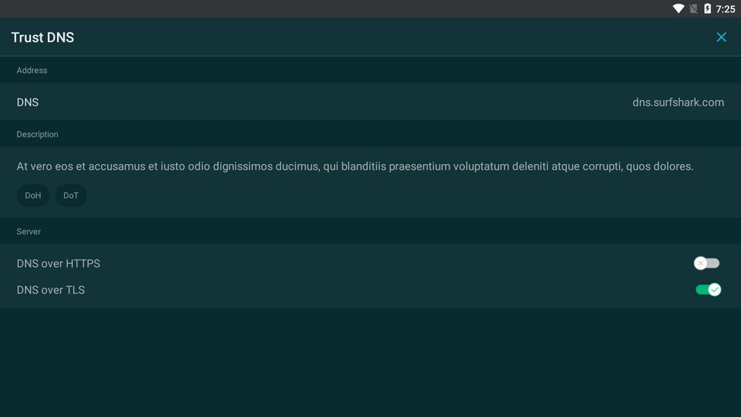 Trust DNS Ảnh chụp màn hình 2