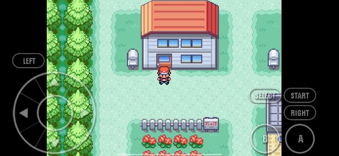 Pokemon Fire Red Tangkapan skrin 0