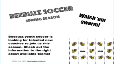 Schermata Beebuzz Soccer 1