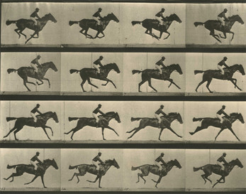 Run Muybridge, run! Captura de tela 0