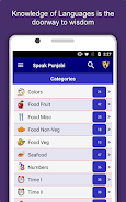 Speak Punjabi : Learn Punjabi应用截图第0张