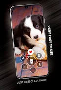 Puppies Wallpapers in 4K Captura de tela 1