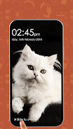 Kitty Cat Pin Lock Screen Captura de pantalla 1