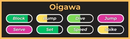 Oigawa style from the Volleyball Legends Roblox experience