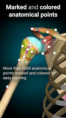 Anatomy Learning - 3D Anatomy應用截圖第2張