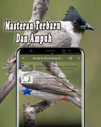 Suara Burung Kutilang Offline Captura de pantalla 1