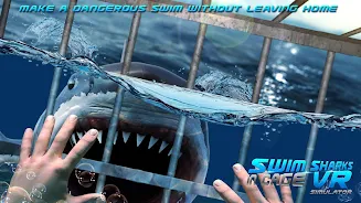 Swim Sharks Cage VR Simulator Tangkapan skrin 1