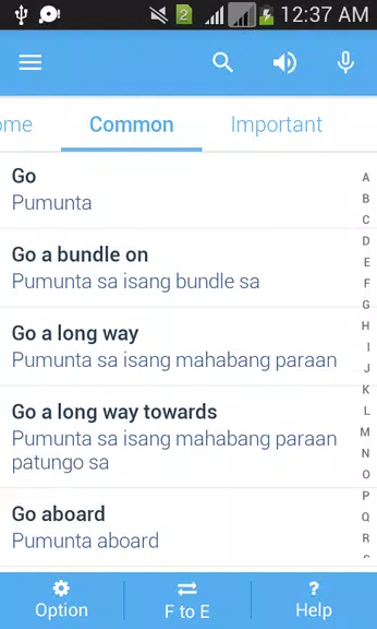 Filipino Dictionary Multifunct 스크린샷 3