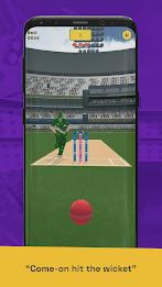 Run Out Champ: Hit Wicket Game应用截图第1张