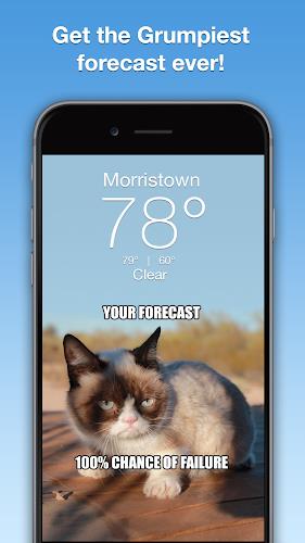 Grumpy Cat Weather Captura de pantalla 0