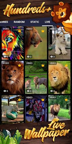 lion background Ảnh chụp màn hình 2