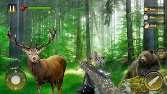 Wild Animal Hunting Games スクリーンショット 0