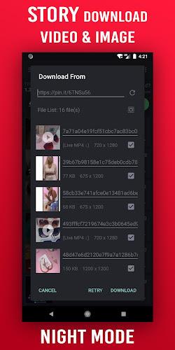 Video Downloader for Pinterest Ảnh chụp màn hình 2